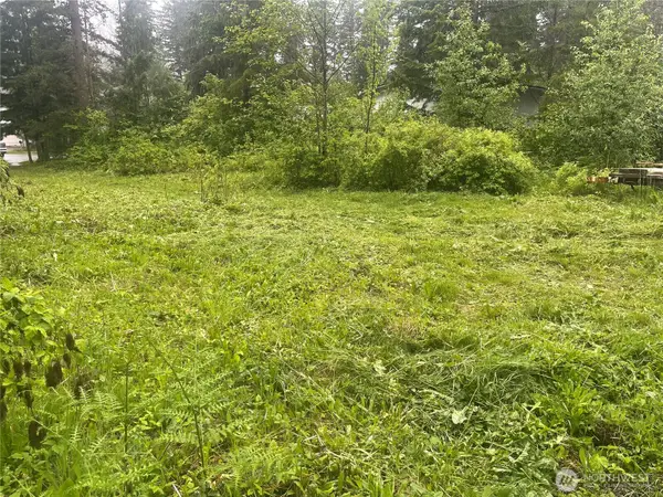 6159 Hawthorne Place, Maple Falls, WA 98266