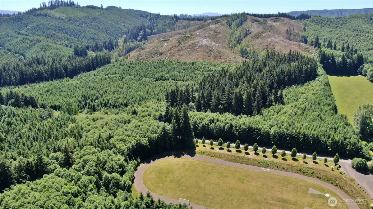 28 North River Road, Cosmopolis, WA 98537 - #1