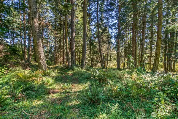 0 Pioneer Hill Road, Orcas Island, WA 98245