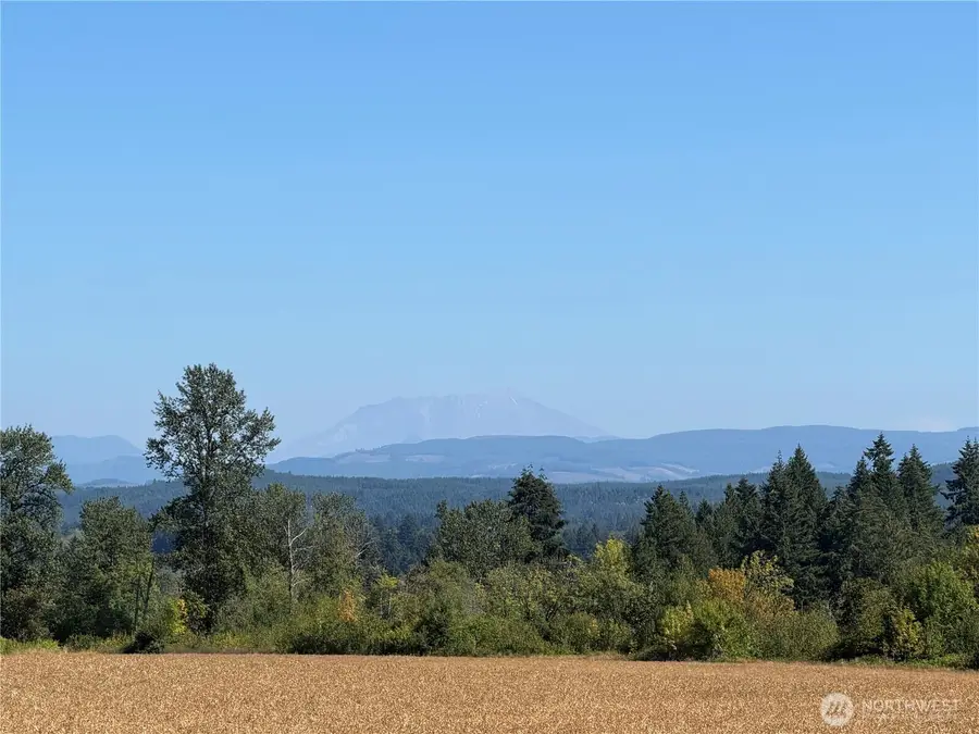 117 Plomondon Road, Toledo, WA 98591 - #3