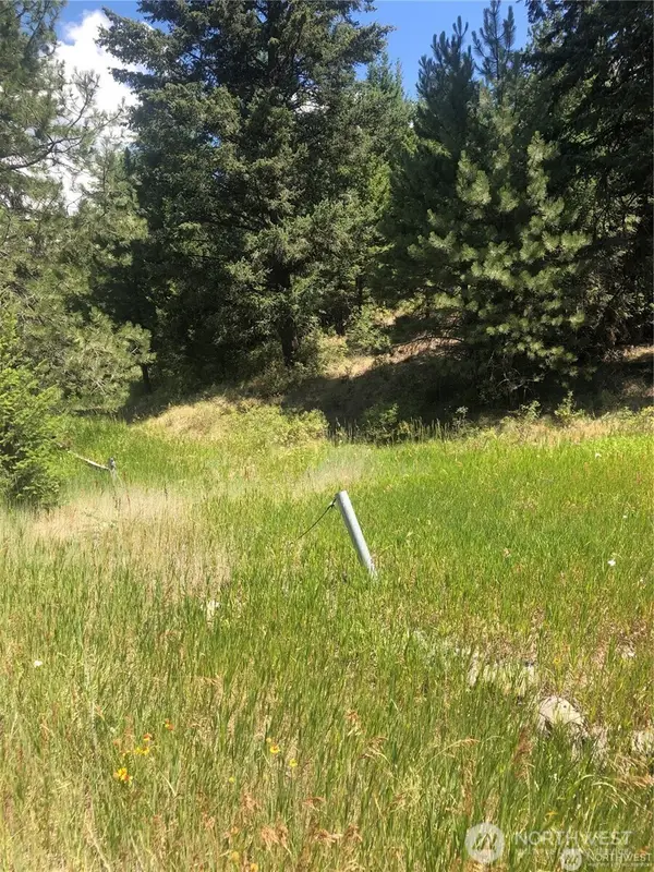 22 Pine Chee Rd, Oroville, WA 98844