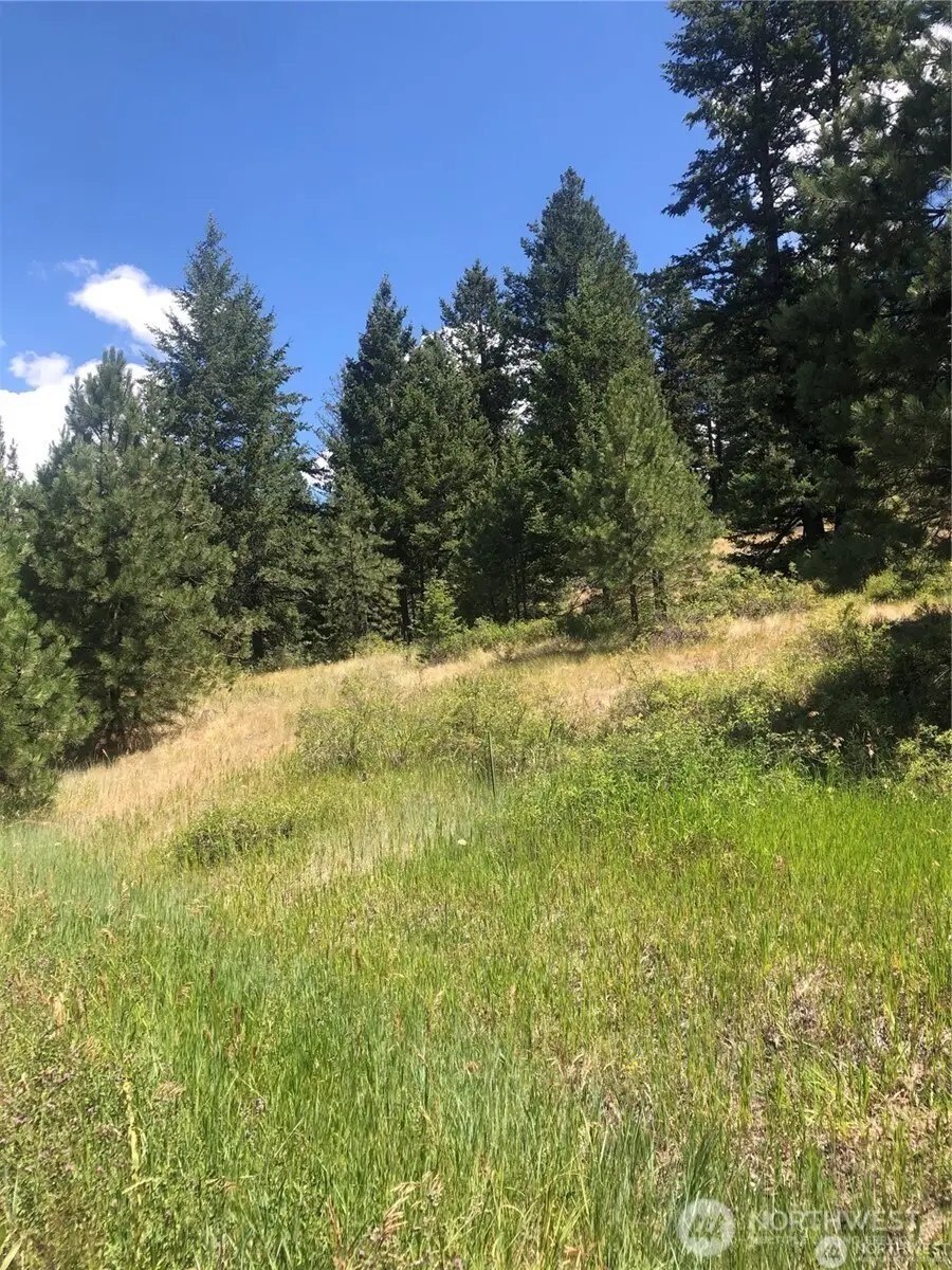 22 Pine Chee Rd, Oroville, WA 98844 - #2