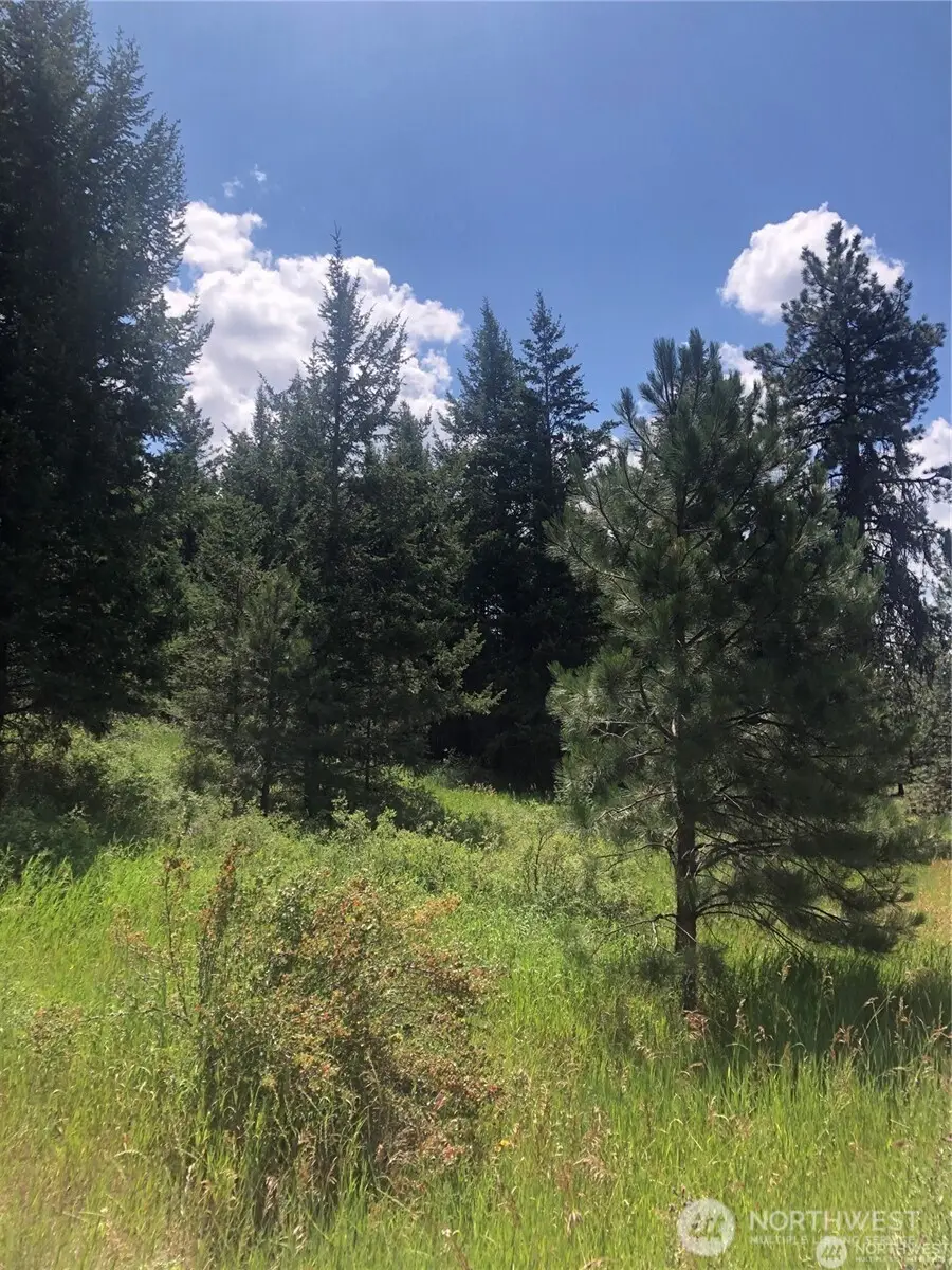 22 Pine Chee Rd, Oroville, WA 98844 - #3