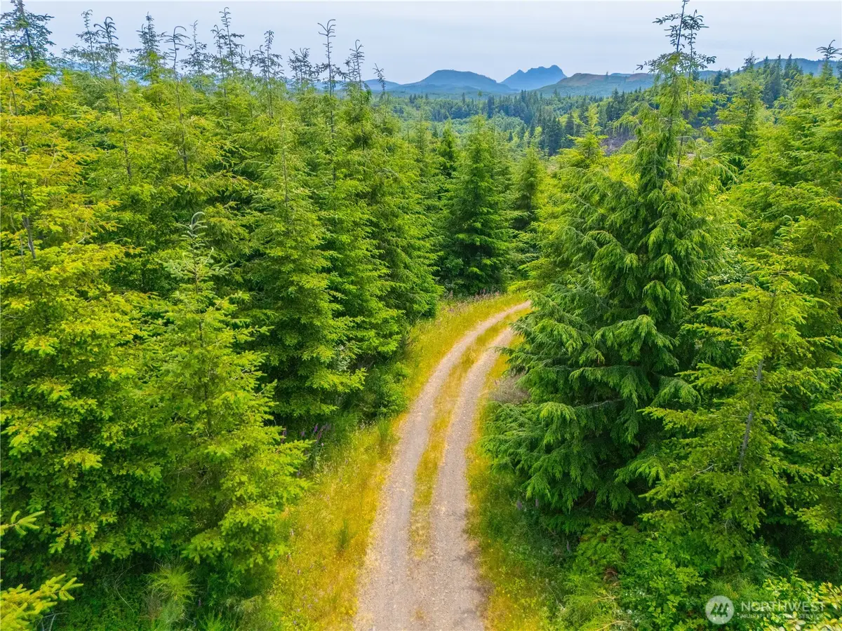 0 Mudd Lane, Astoria, OR 97103 - #1