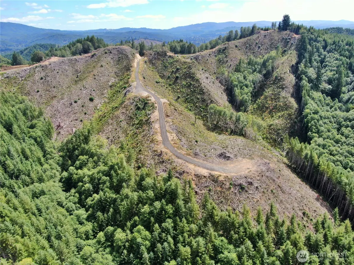 0 Smith Creek Road, Cosmopolis, WA 98537 - #1