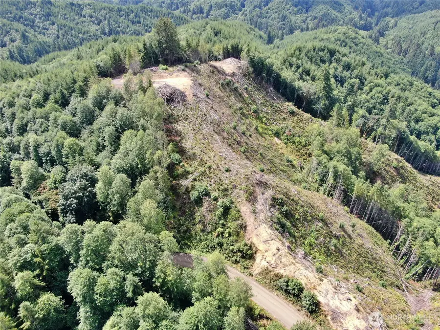 0 Smith Creek Road, Cosmopolis, WA 98537 - #2