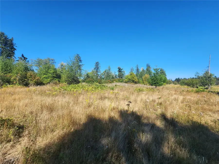31208 Lebor Devore Road E, Eatonville, WA 98328 - #2