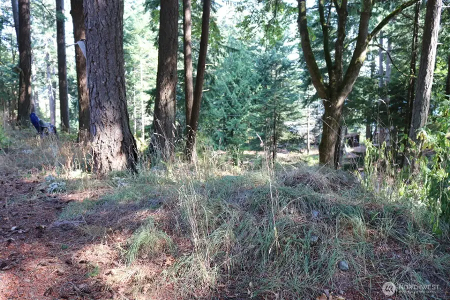 0 Island Drive #105, Lummi Island, WA 98262 - #3
