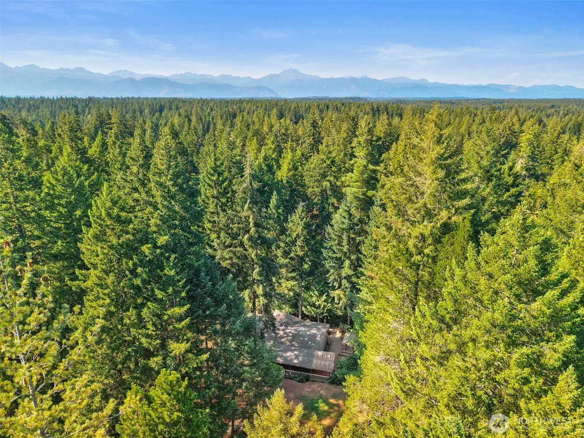 111 NE Collins Drive E, Tahuya, WA 98588 - #1