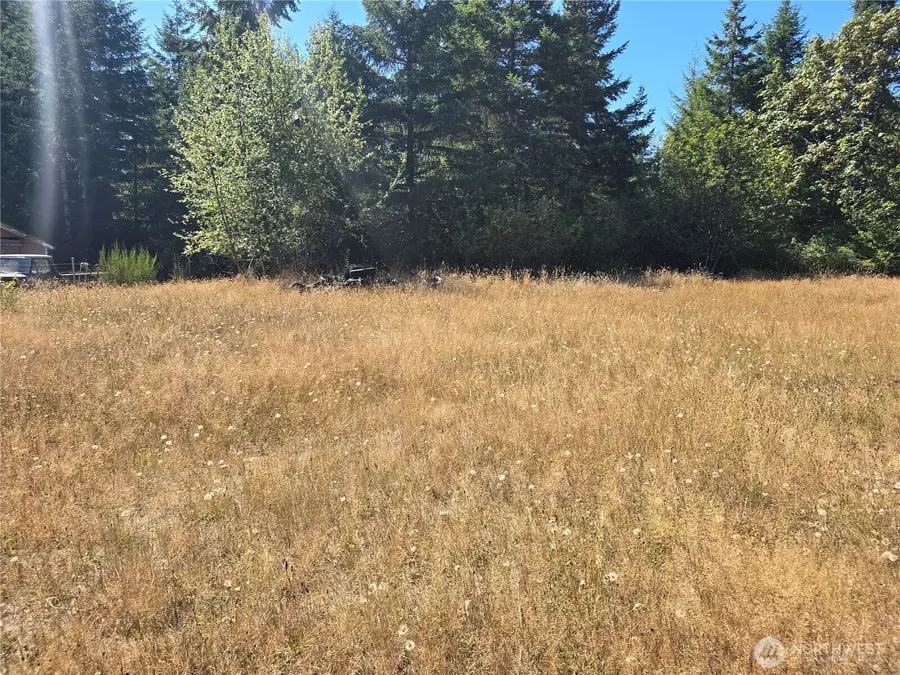 100 W Loganberry Court, Elma, WA 98541 - #2