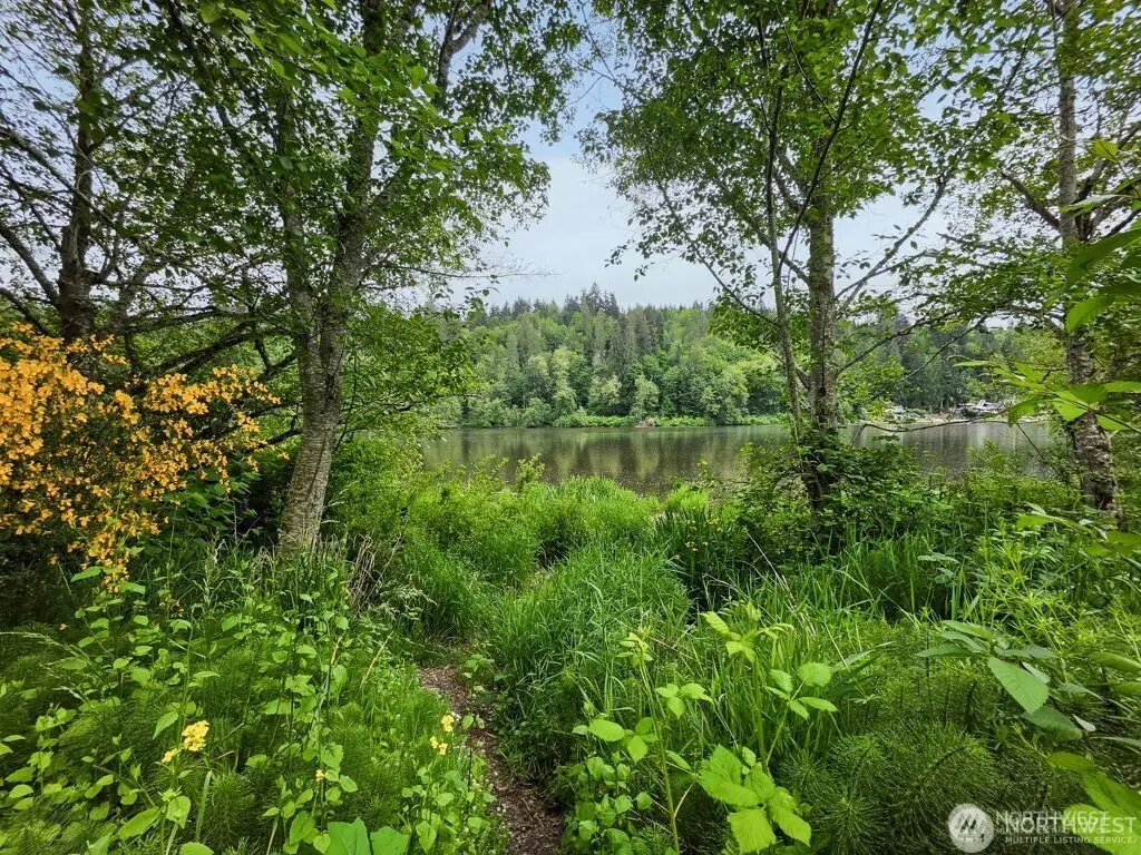 0 Orville Road E, Eatonville, WA 98328 - #1