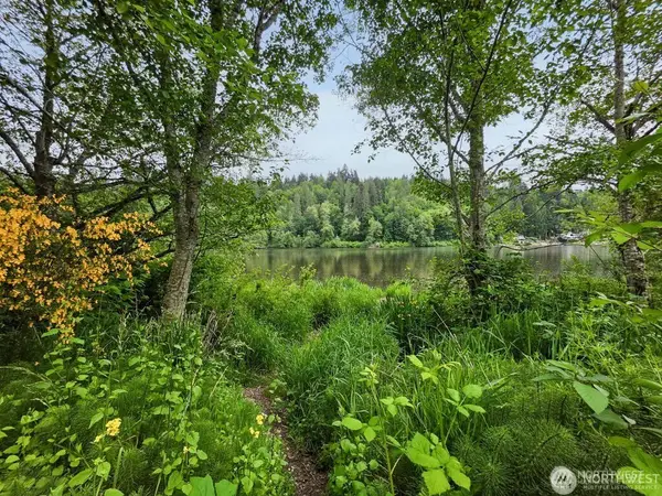 0 Orville Road E, Eatonville, WA 98328