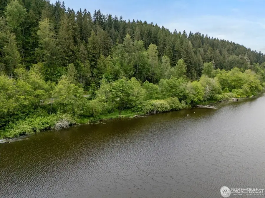 0 Orville Road E, Eatonville, WA 98328 - #2
