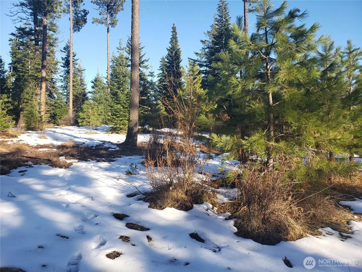 0 R&r Heights Drive #Lot F, Roslyn, WA 98941 - #1