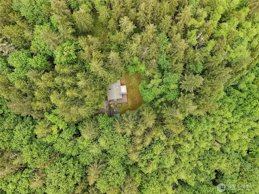 431 Taison Lane, Quilcene, WA 98376 - #3