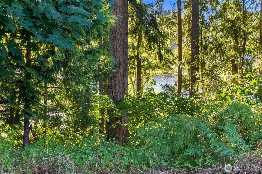7027 Munn Lake Drive Se, Tumwater, WA 98501 - #3
