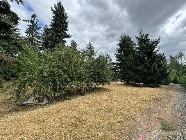 36852 52nd Avenue S #C-N, Auburn, WA 98001 - #3