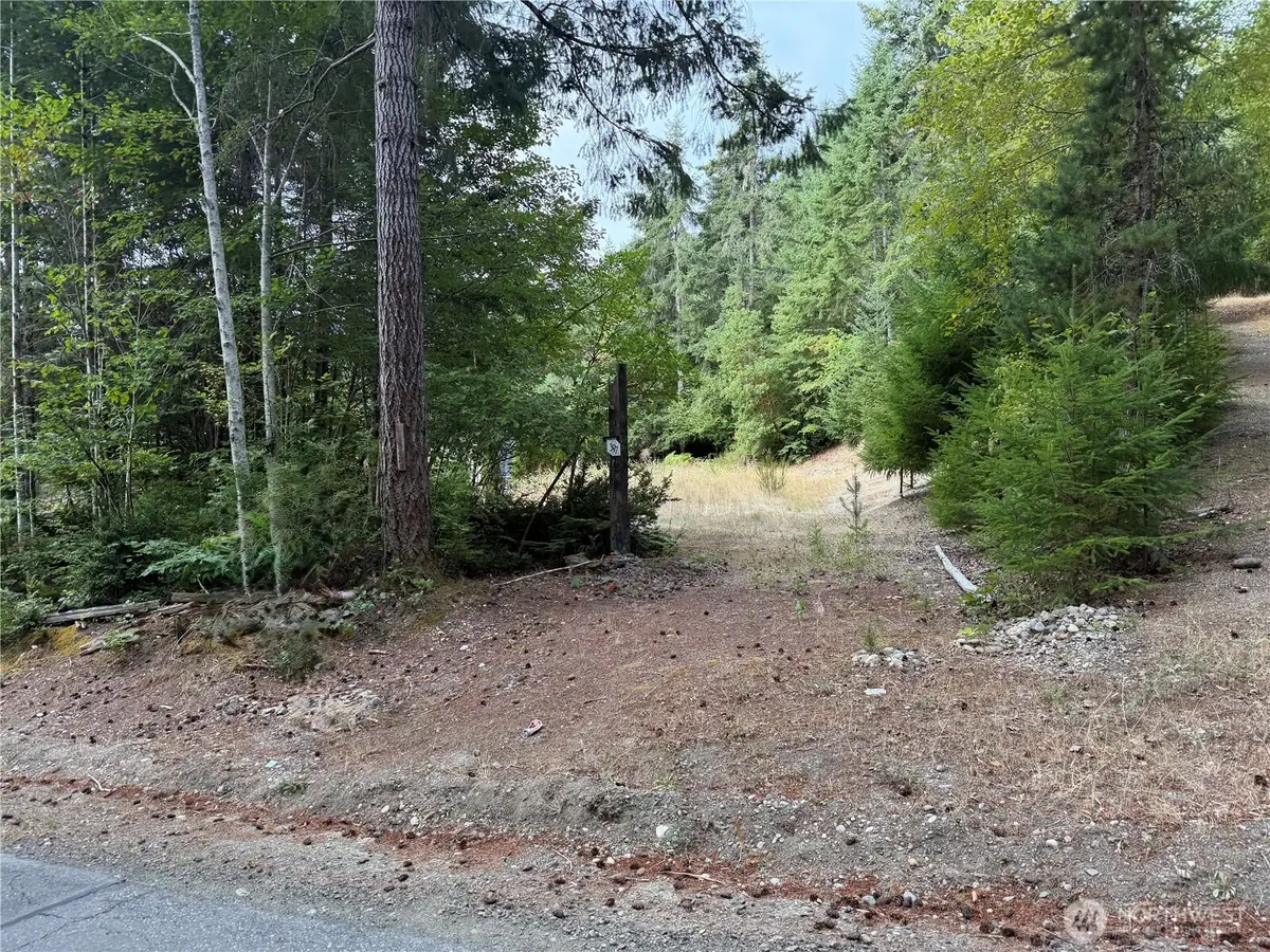 397 NE Larson Lake Road, Belfair, WA 98528 - #1