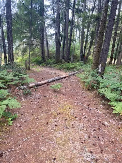 31 N Rainbow Way W #73, Hoodsport, WA 98548
