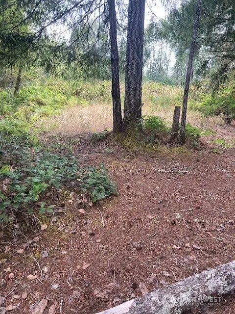 31 N Rainbow Way W #73, Hoodsport, WA 98548 - #2