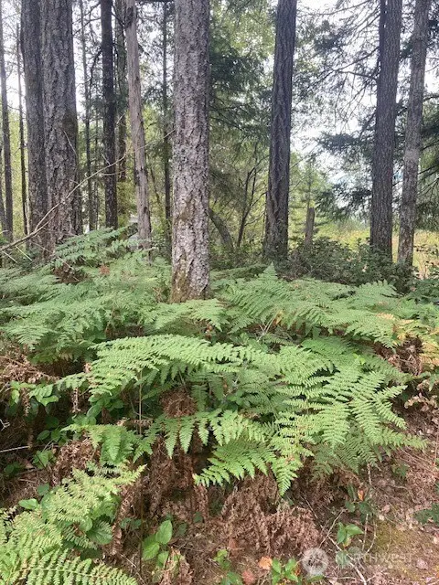 31 N Rainbow Way W #73, Hoodsport, WA 98548 - #3