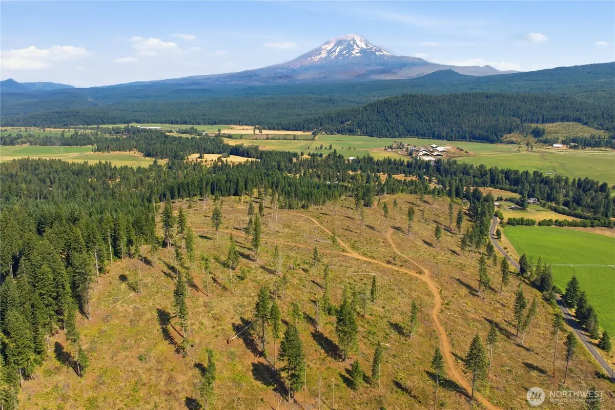 0 Little Mountain Road, Trout Lake, WA 98650 - #1