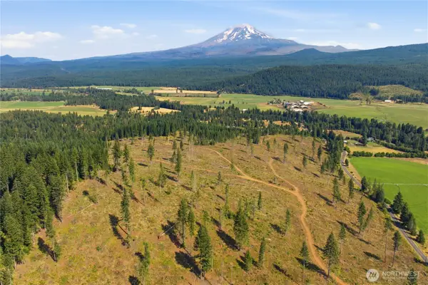 0 Little Mountain Road, Trout Lake, WA 98650