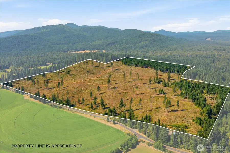 0 Little Mountain Road, Trout Lake, WA 98650 - #2