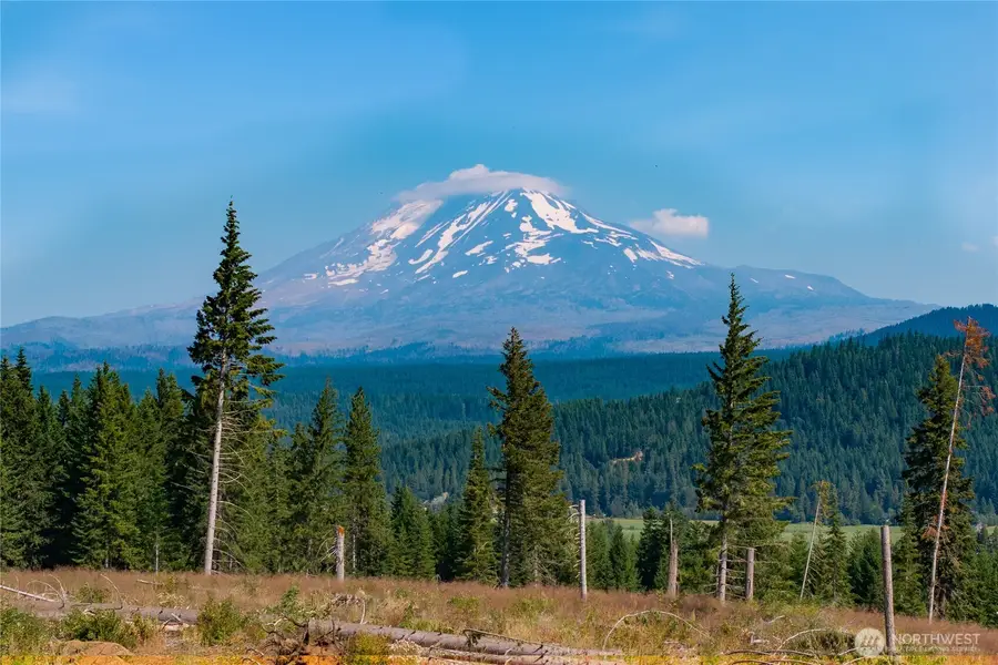 0 Little Mountain Road, Trout Lake, WA 98650 - #3