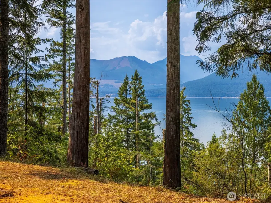 124 Foxglove Lane, Quilcene, WA 98376 - #2