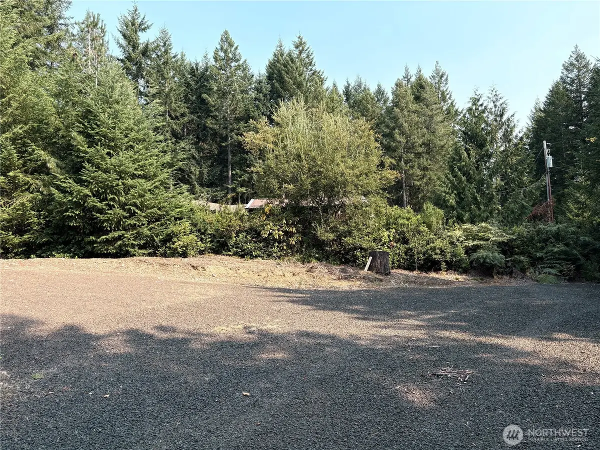 110 N Napilikai Drive, Lilliwaup, WA 98555 - #1