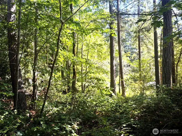 0 Oak Street, Quilcene, WA 98376