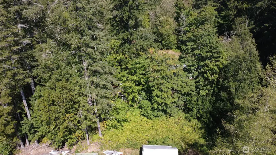 0 Oak Street, Quilcene, WA 98376 - #2
