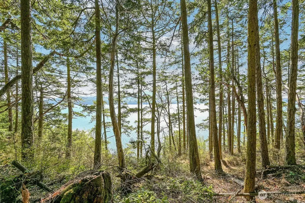 6982 Cape George Rd #Parcel 6/6a, Port Townsend, WA 98368 - #1