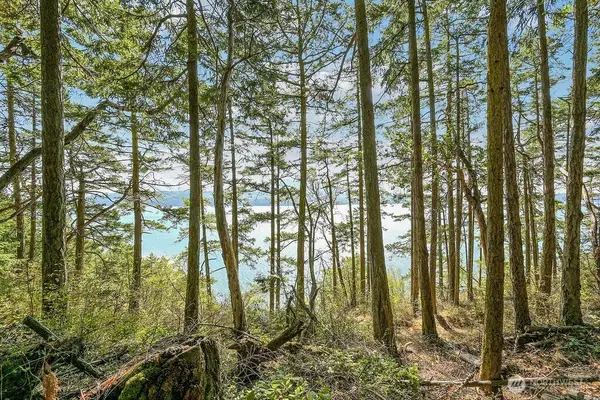 6982 Cape George Rd #Parcel 6/6a, Port Townsend, WA 98368