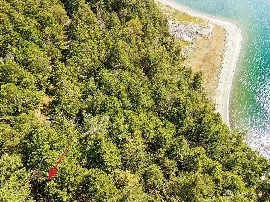 6982 Cape George Rd #Parcel 6/6a, Port Townsend, WA 98368 - #3