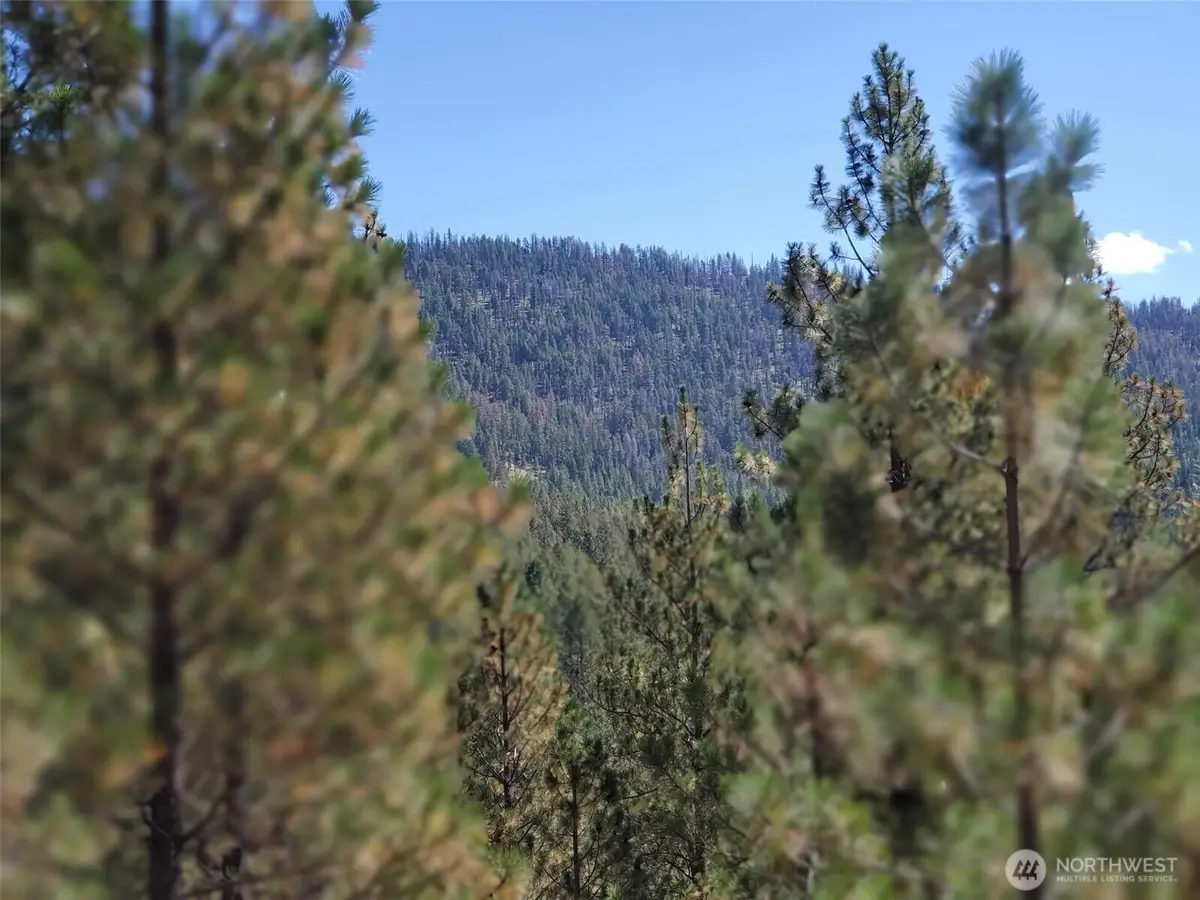 0 Long Horn Trail #3&4, Riverside, WA 98849 - #1