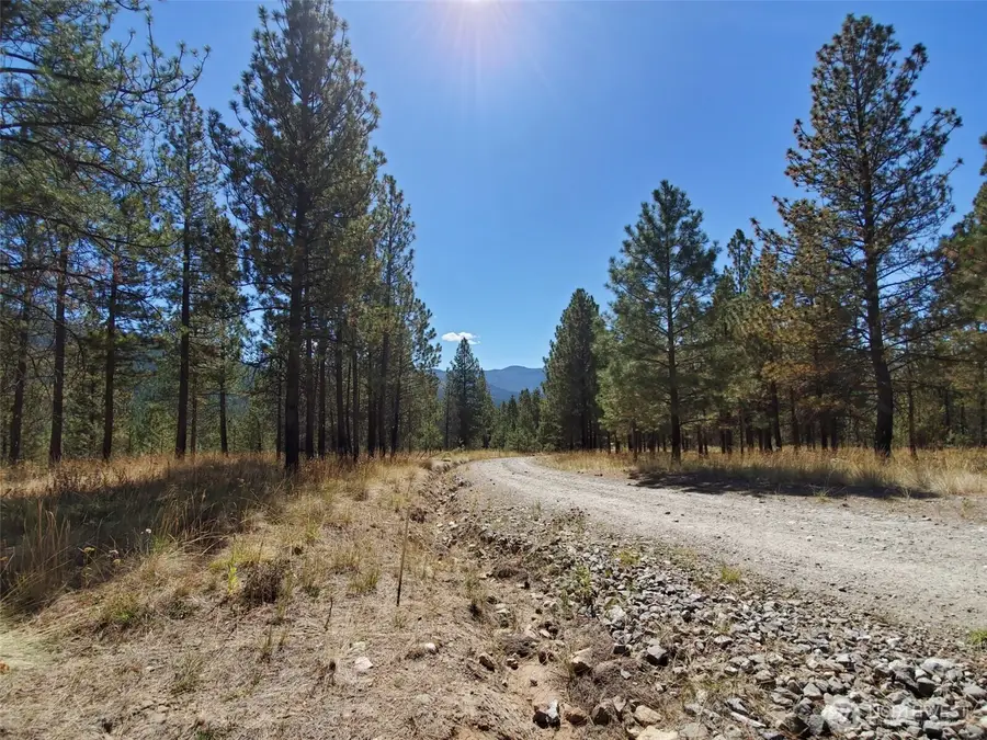 0 Long Horn Trail #3&4, Riverside, WA 98849 - #2
