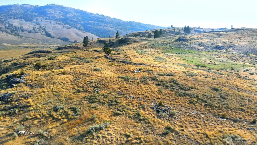 0 Mclaughlin Canyon Road, Tonasket, WA 98855 - #3