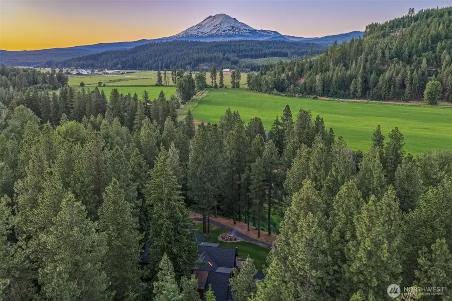 64 Good Road, Trout Lake, WA 98650 - #2