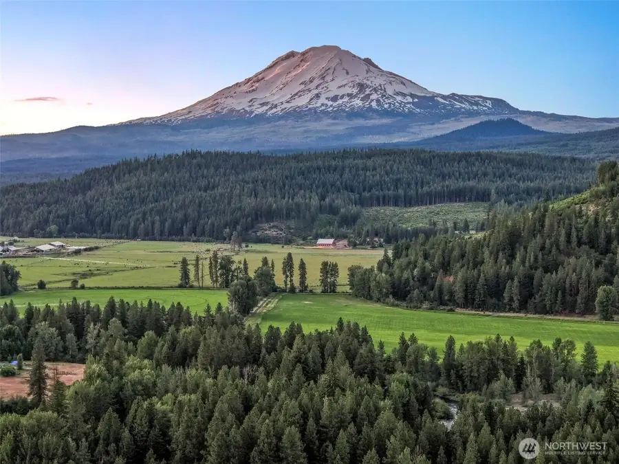64 Good Road, Trout Lake, WA 98650 - #3