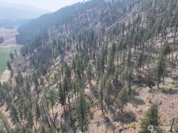 0 Gold Creek Loop Road, Carlton, WA 98814