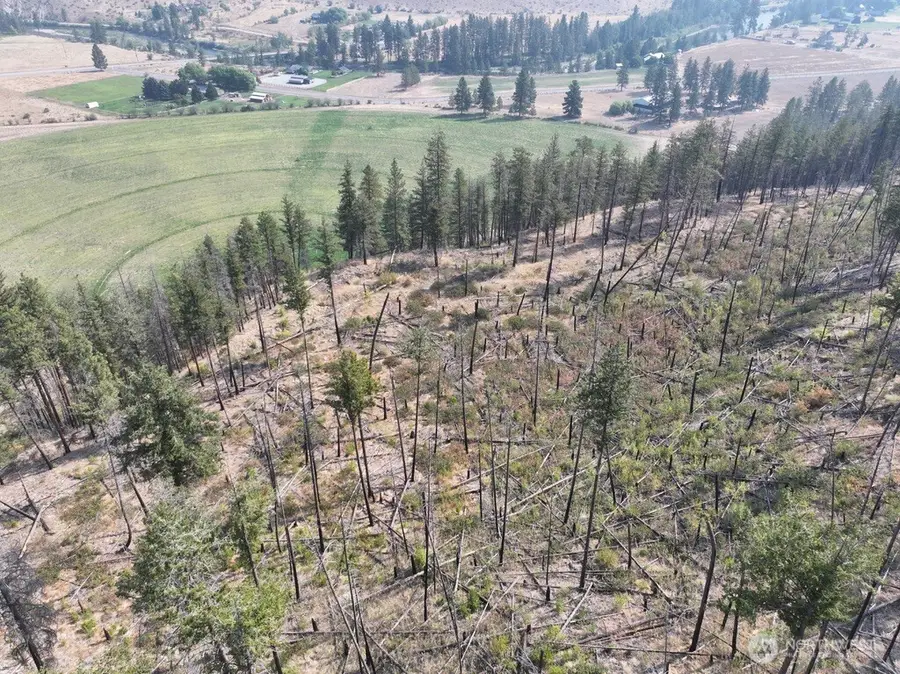 0 Gold Creek Loop Road, Carlton, WA 98814 - #2