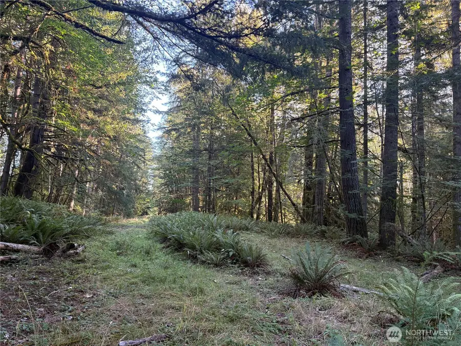 1 Frank Smith Road, Toutle, WA 98649 - #3