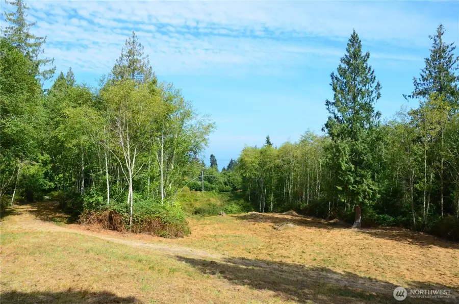 1050 Andy Cooper Road, Port Ludlow, WA 98365 - #2
