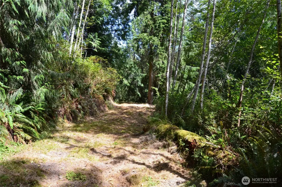 3900 Paradise Bay Road, Port Ludlow, WA 98365 - #1