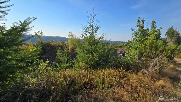 16001 223rd Avenue E #Parcel A, Orting, WA 98360