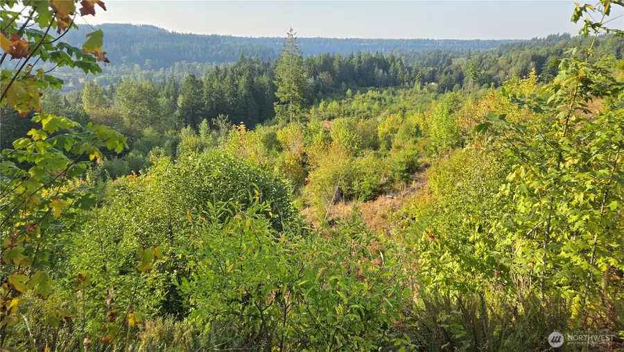16001 223rd Avenue E #Parcel A, Orting, WA 98360 - #2