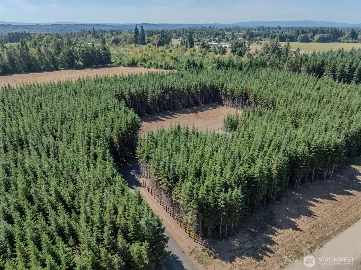 263 Twinflower Lane, Onalaska, WA 98570 - #1