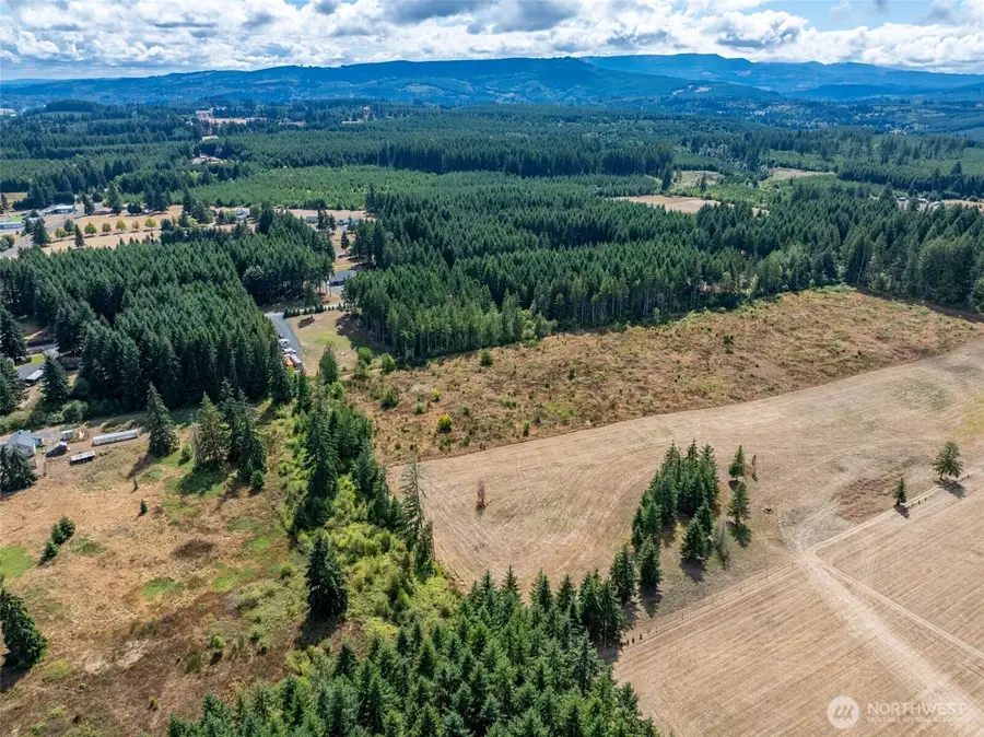 0 Mcglaughlin Road, Winlock, WA 98596 - #3